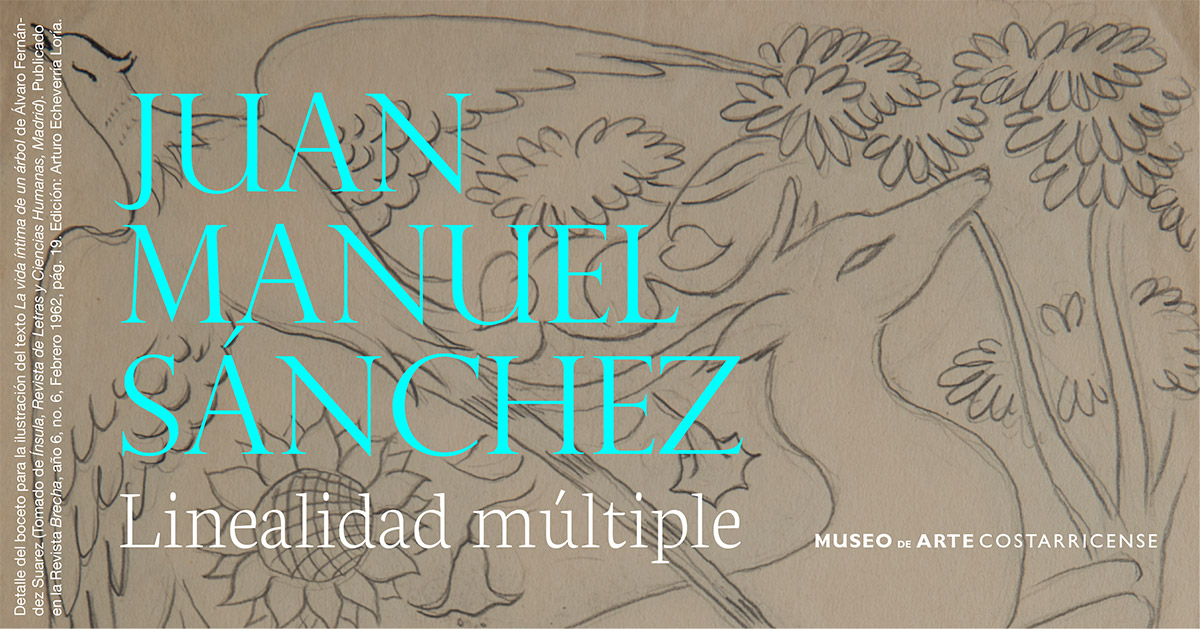  Identidad de la exposición: Linealidad múltiple. Juan Manuel Sánchez