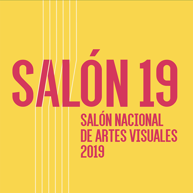 Portada exposición Salón Nacional de Artes Visuales 2019