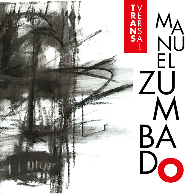 Portada exposición Manuel Zumbado: Transversal