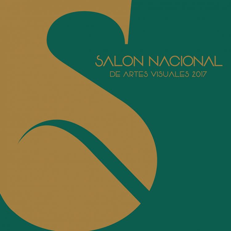 Identidad gráfica de la Convocatoria del Salón nacional de artes visuales 2017